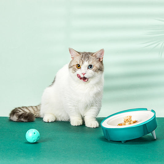 Replaceable Portable Pet Bowl